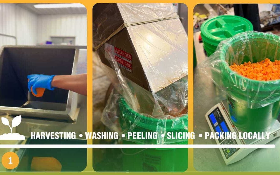 Tend & Table Boxes Connect Rural Schools with 100+ Wisconsin Farms