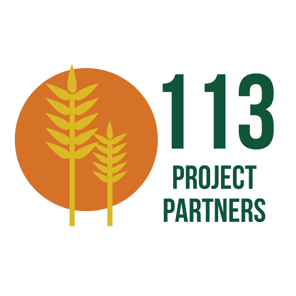113 project partners